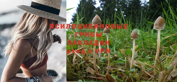 дурь Лиски